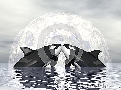 Orca love - 3D render Stock Photo