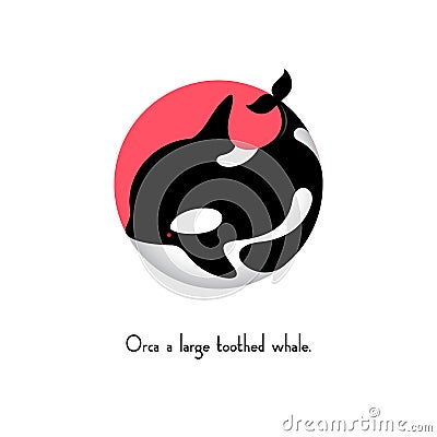 Orca whale illustration. Orca icon. Ocean animal emblems. Vector Illustration