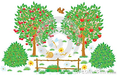 Orchard Stock Photo