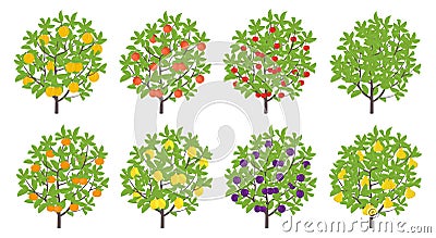 Orchard fruit tree set. Pear and mandarin nectarine apple plum lemon cherry. Vector illustration. Flat vector color Illustration Cartoon Illustration