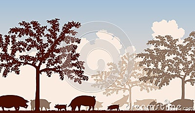 Orchard pigs Vector Illustration
