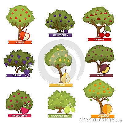 Orchard trees and bushes with ripe fruits with names Vector Illustration