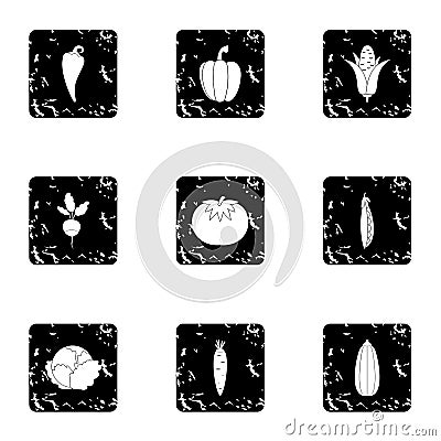 Orchard vegetables icons set, grunge style Vector Illustration