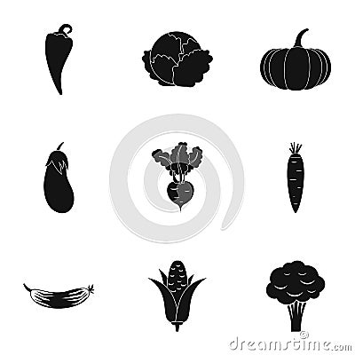 Orchard vegetables icons set, simple style Vector Illustration