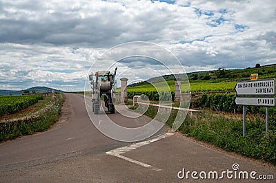 Orchard vineyard tractor on green vineyards, production of high quality famous French white wine in Puligny-Montrachet village, Stock Photo
