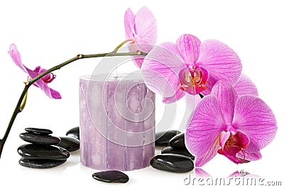 Orchid,aromatic candle and black stones Stock Photo