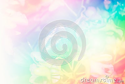 Orchid background Stock Photo