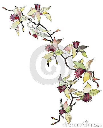 Orchid branch isolated Stock Photo