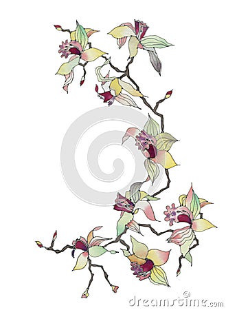 Orchid branch isolated Stock Photo