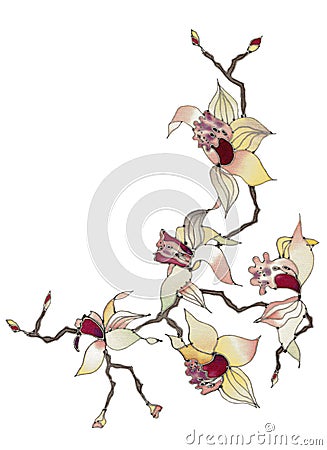 Orchid branch isolated Stock Photo