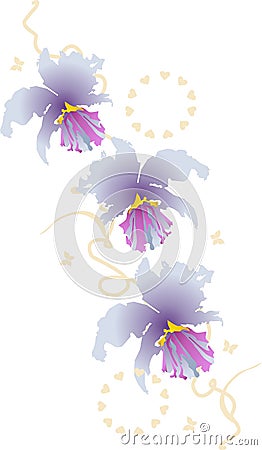 Orchid cattleya Vector Illustration