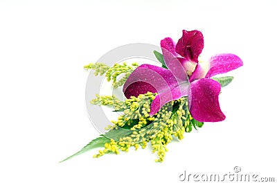 Orchid corsage Stock Photo