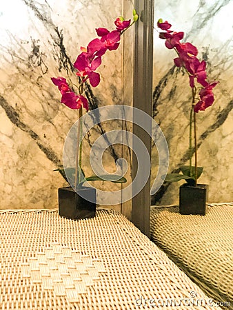 Orchid Creative Reflection Stock Photo