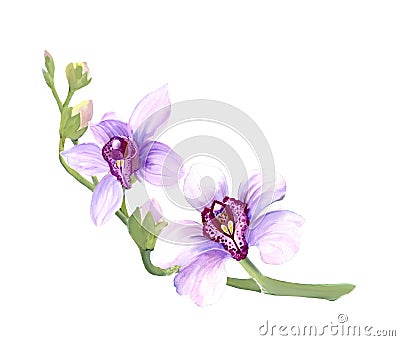 modest branch with small pink watercolor orchids with buds Stock Photo