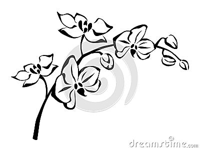 Orchid flowers branch. Vector black and white illustration. Vector Illustration