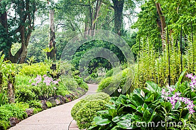 Orchid garden, part of Botanic Gardens in Singapore Stock Photo