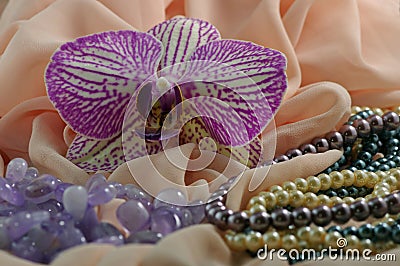 Orchid flower, jewelry and silk Stock Photo