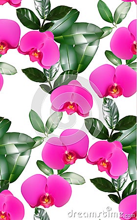 Orchid logo emblem symbol icon illustration vector Vector Illustration