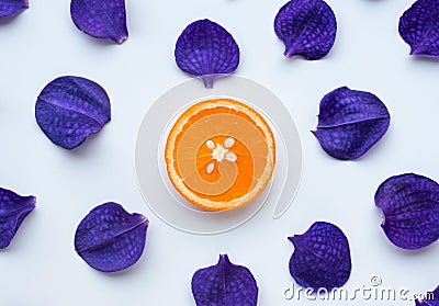 Orchid petal with orange slice on white background.flat lay Stock Photo