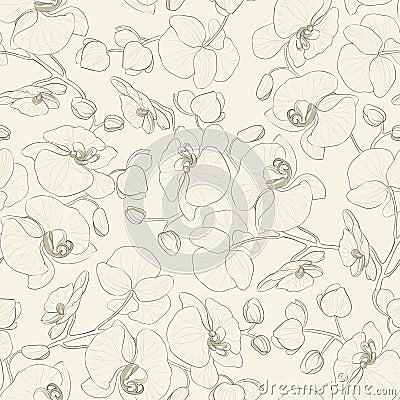 Orchid seamless pattern. Vector Illustration