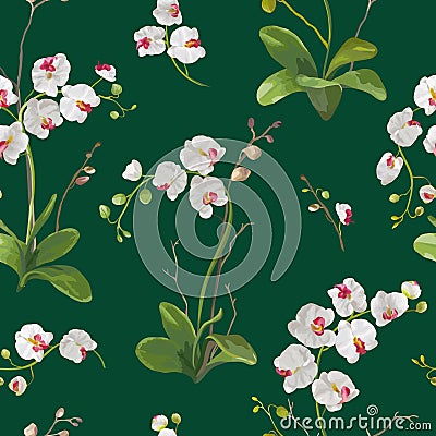 Orchid Tropical Leaves and Flowers Background. Seamless Pattern Vector Illustration