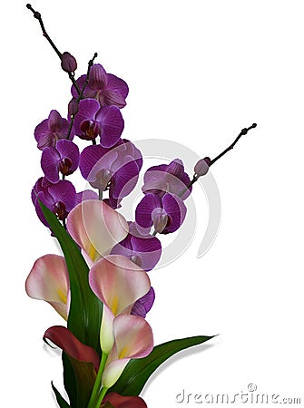 Orchids and Calla Lilies Stock Photo