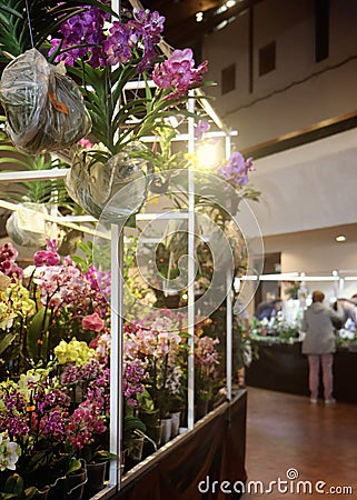 Orchids fascination exhibition of colorful tropical flowers in Garching, Germany Editorial Stock Photo