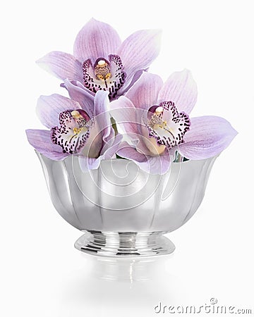 Orchids in Silver Bowl Stock Photo