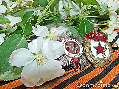 Order `Great patriotic war`, sign of `Guards` on the background of the blooming Apple tree and of the St. George`s ribbon. Stock Photo