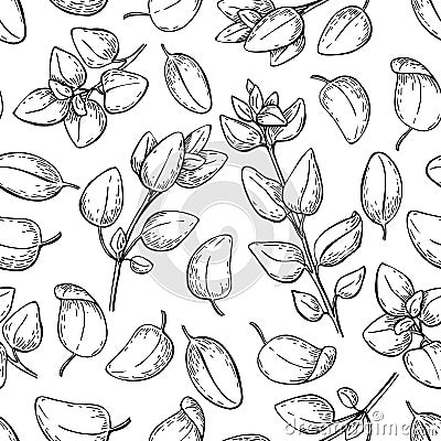 Oregano drawing. Seamless pattern. Isolated Oregano plant Vector Illustration