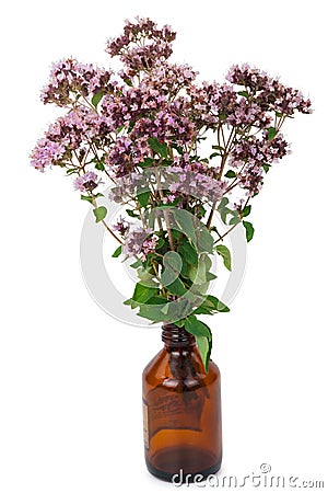 Oregano flowers with pharmaceutical bottle Stock Photo