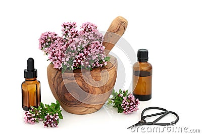 Oregano Herb Flowers for IBS Herbal Medicine Stock Photo