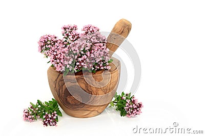 Oregano Herb Flowers to Treat IBS Stock Photo