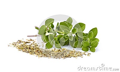 Oregano or marjoram leaves isolated on white background. Organo spice fresh and dry Stock Photo