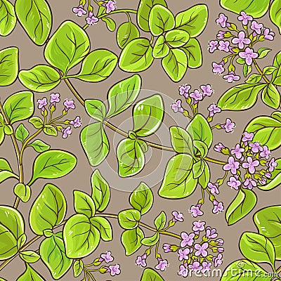 Oregano vector pattern Vector Illustration