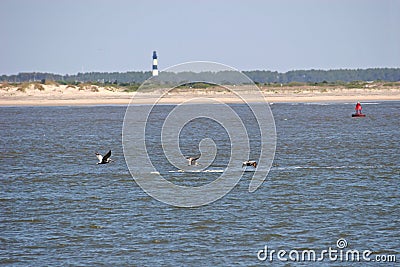 Oregon Inlet Stock Photo