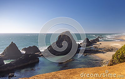 Oregon Pacific coast landscape, Seal rocks in a row Stock Photo