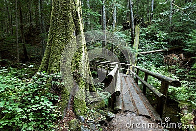 Oregon portraits Stock Photo