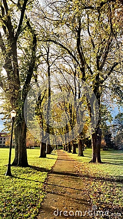 Oregon State University Autumn Afternoon Stock Photo