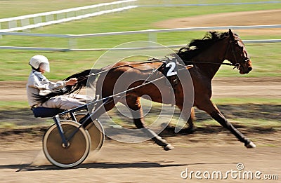 Orel, Russia - April 30, 2017: Harness racing. Sorrel racing horse trotting fast with a sulky Editorial Stock Photo