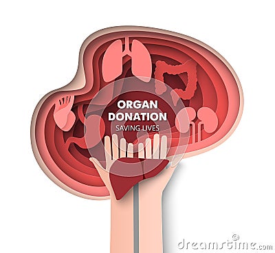 Organ donation 3d vector saving life concept Vector Illustration