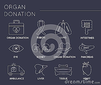 Organ Donation icon set Vector Illustration