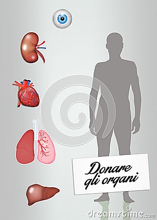 Organ donation Stock Photo