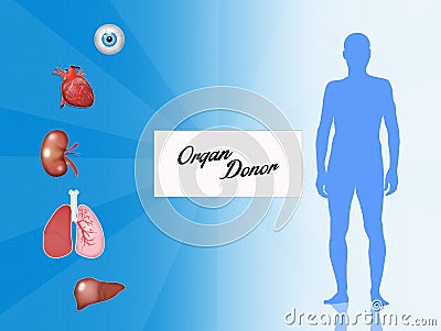 Organ donor Stock Photo