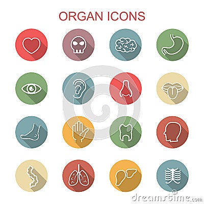 Organ long shadow icons Vector Illustration