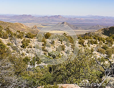 Organ Pipe Formation at the Chiricahua National Monument Stock Photo