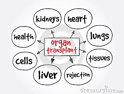 Organ Transplant mind map, medical concept for presentations and reports Stock Photo