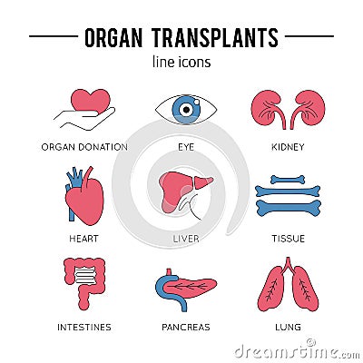 Organ Transplantation icon set Vector Illustration