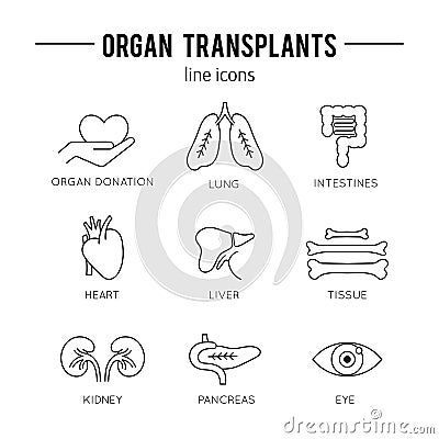 Organ Transplantation icon set Vector Illustration