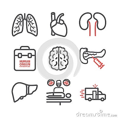 Organ transplantation line icons set. Vector signs for web graphics. Vector Illustration